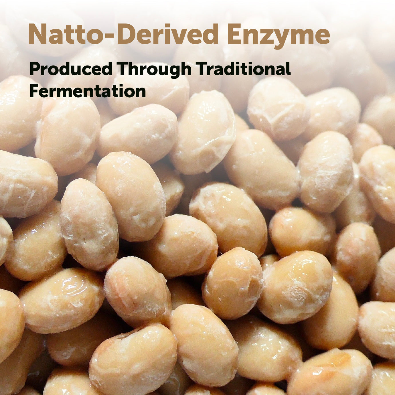 Novyra Nattokinase | Fibrin Defense + Full-Body Circulation Complex